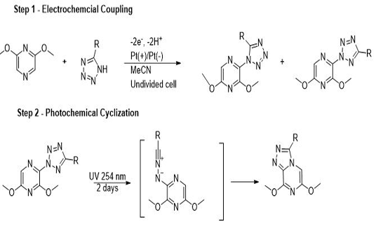 publication image