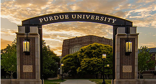 university